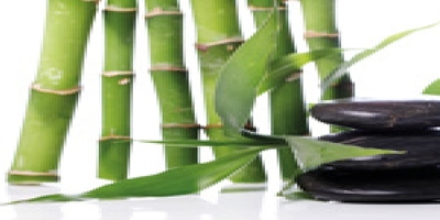 BAMBU